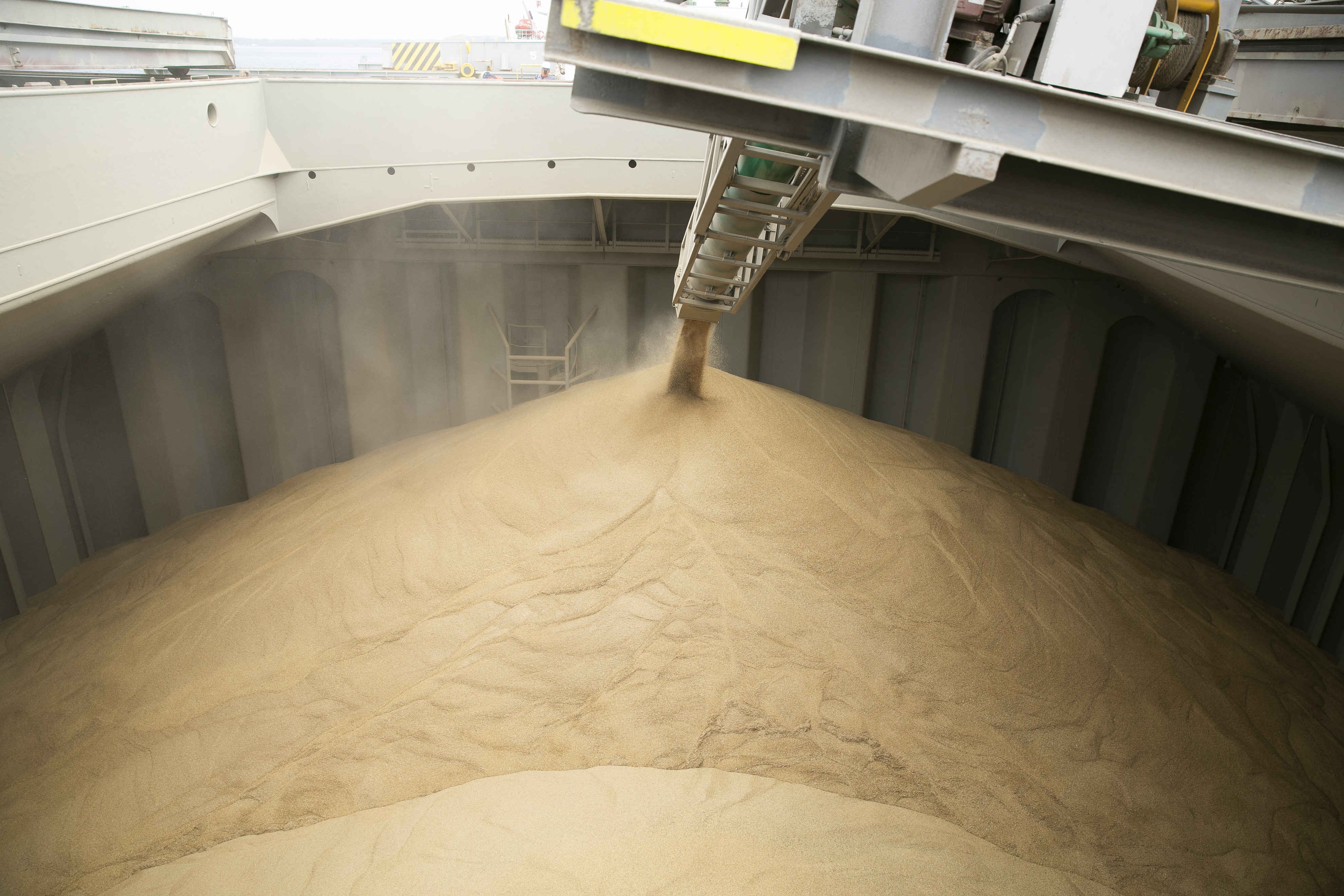 Grain loading into a vessel