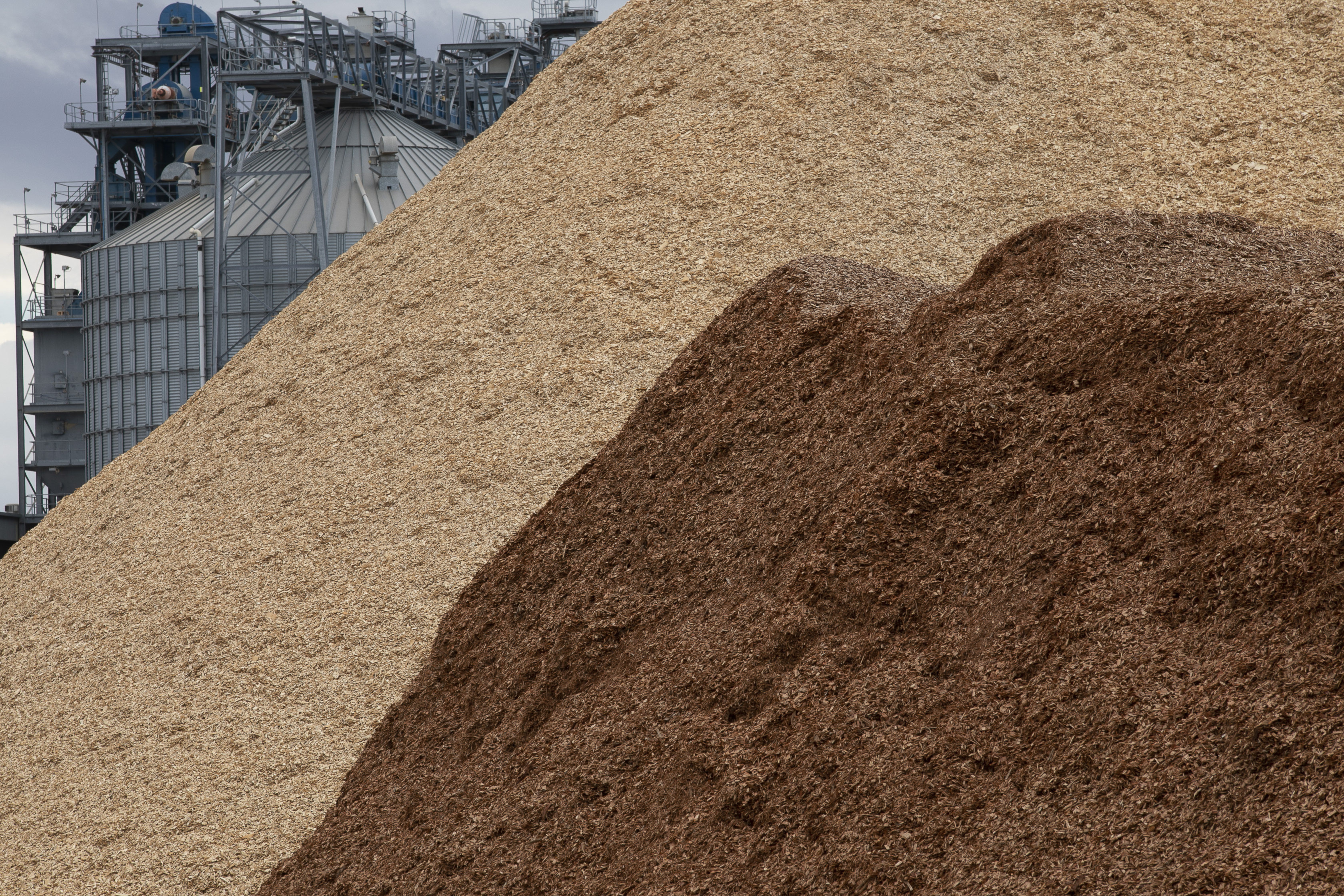 Woodchips at the Port of Bunbury