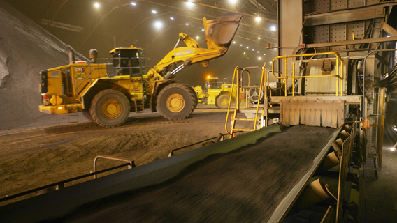 Iron ore circuit