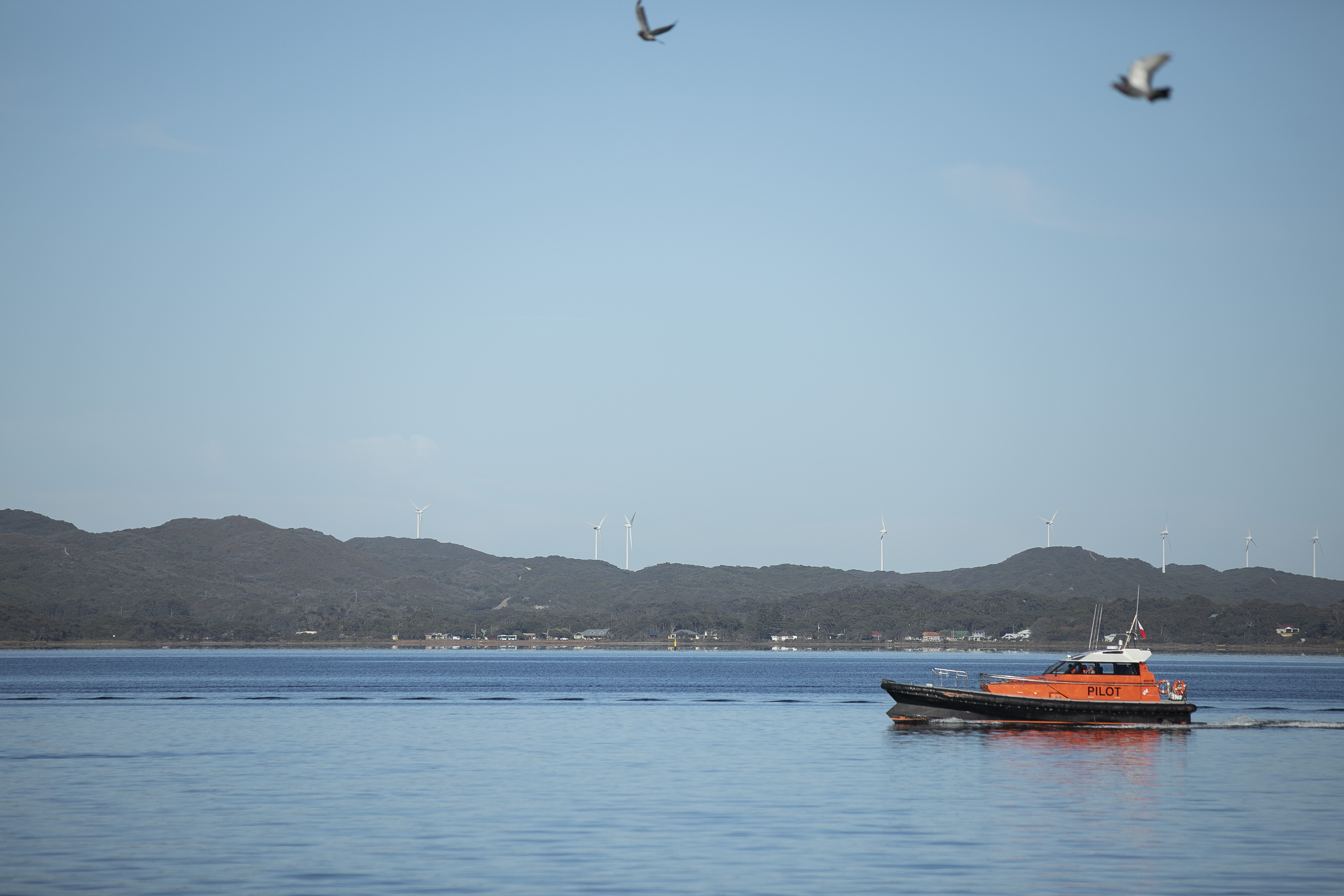 Pilot boat in Princess Royal Harbour