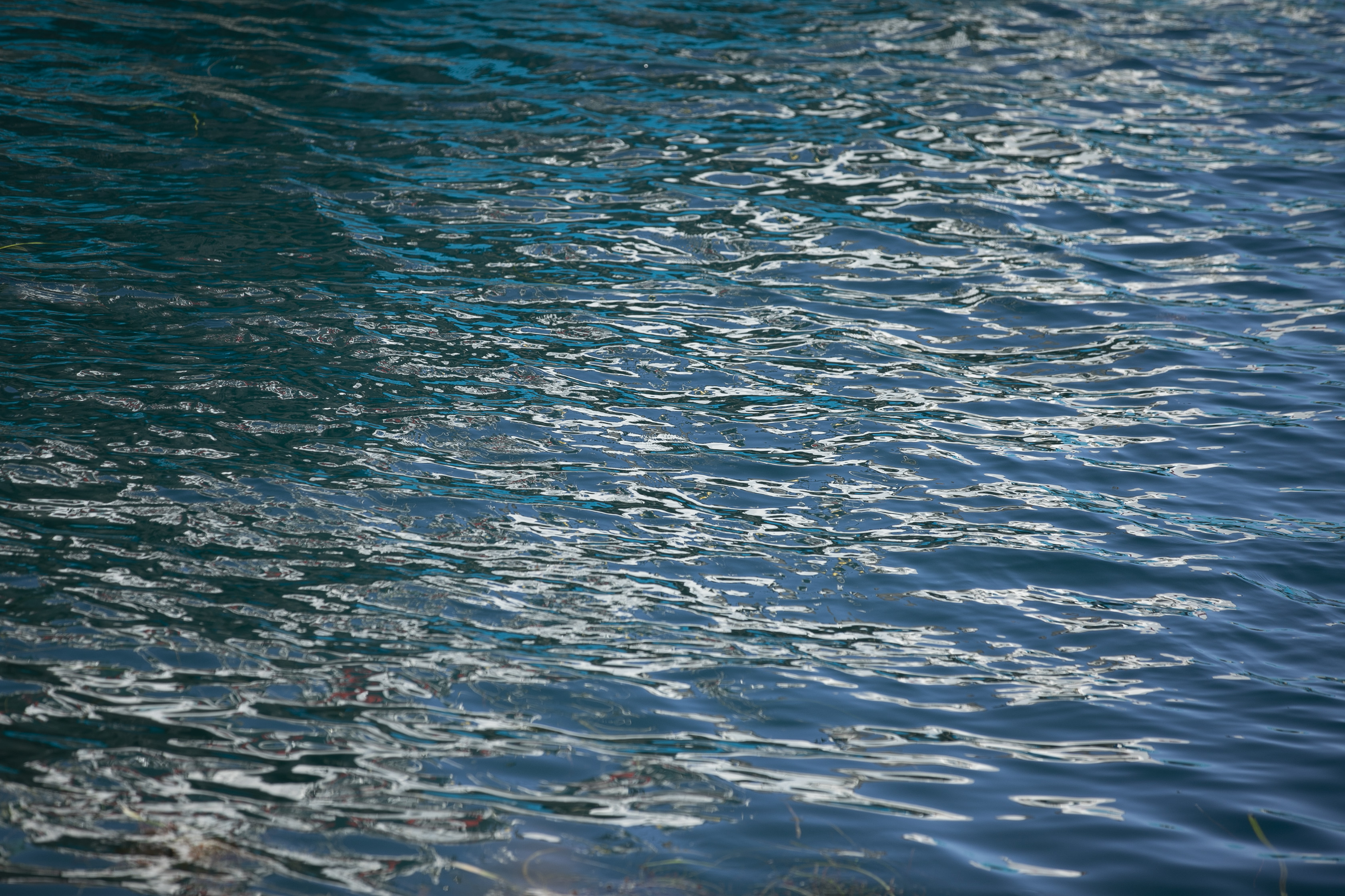 Port waters