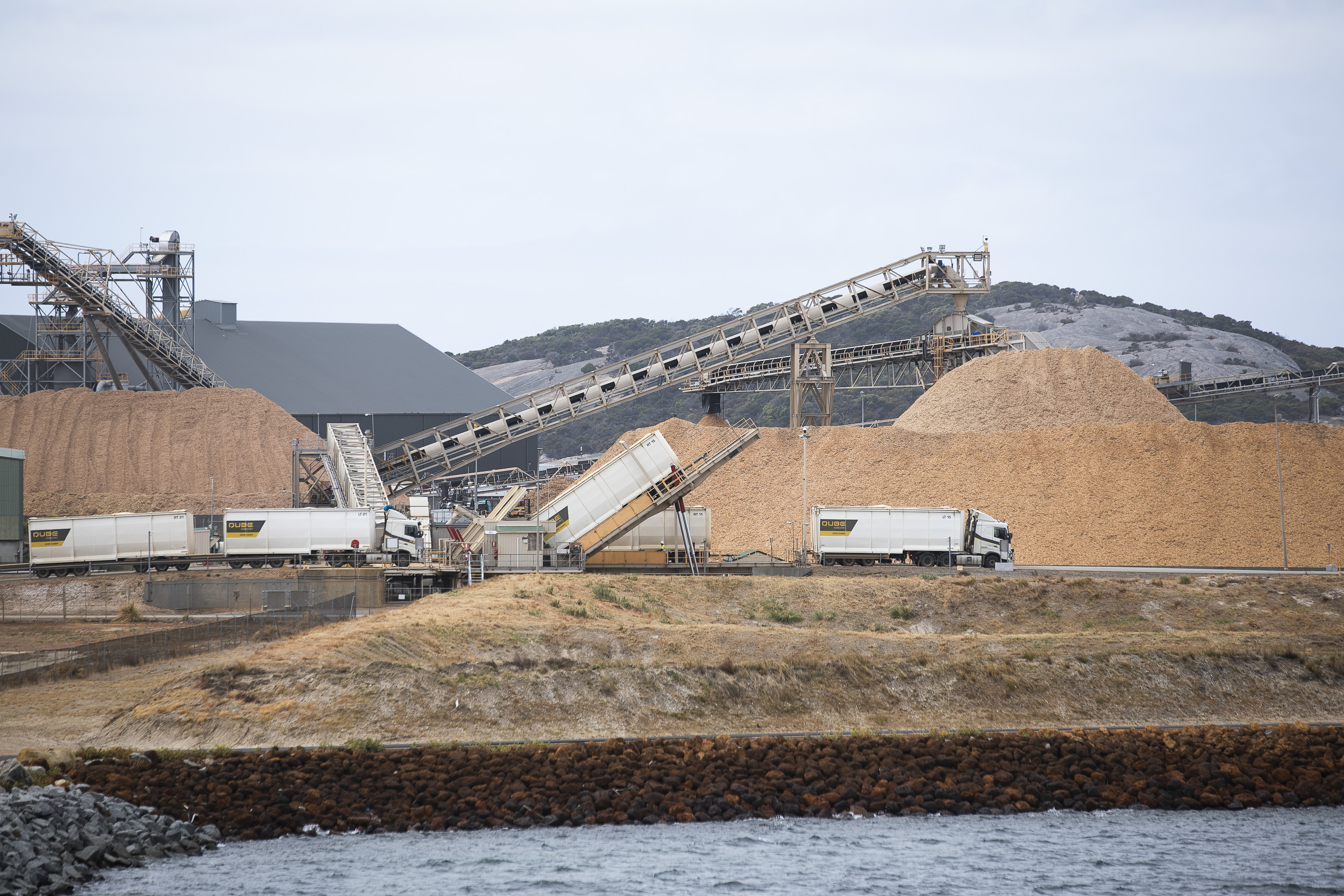 Woodchip terminal at the Port of Albany