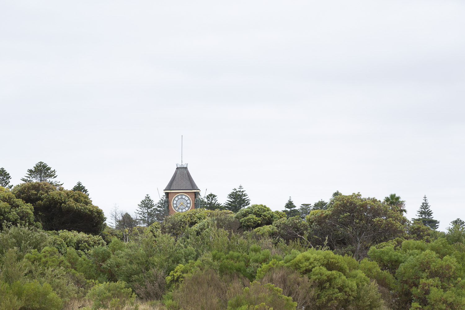 Esperance town