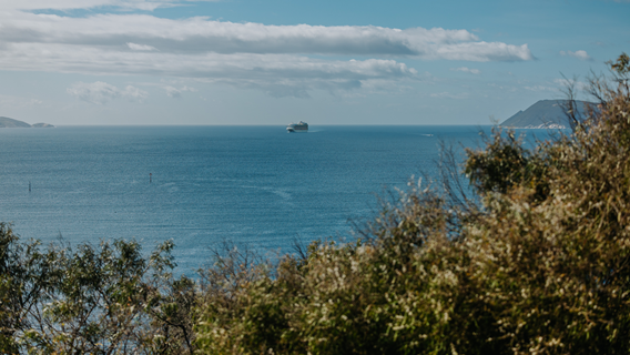 View of King George Sound