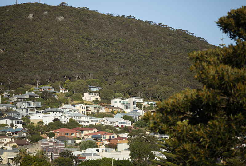 Residential Albany