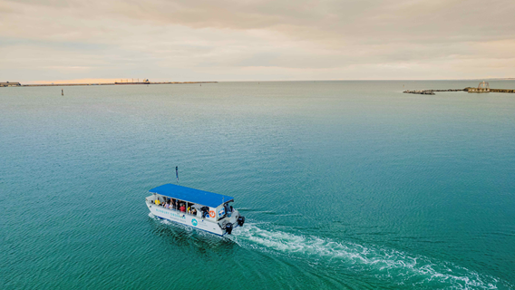 Dolphin Discovery tour