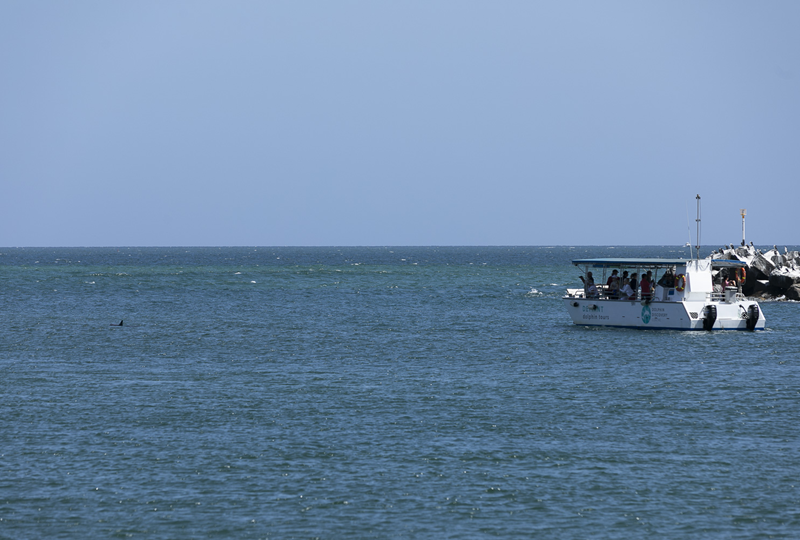 Koombana Bay with Dolphin Discovery Centre