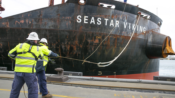 Third party stevedores mooring vessel
